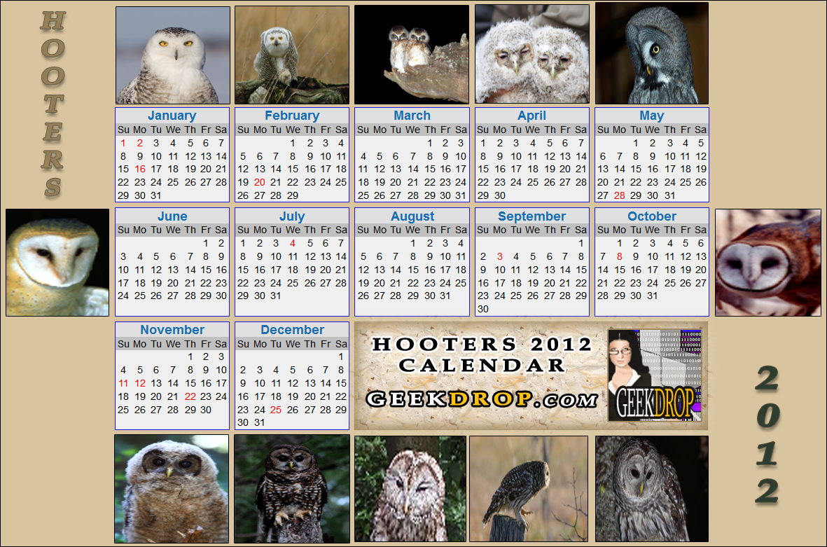 Nude Hooters Calander